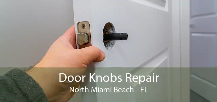 Door Knobs Repair North Miami Beach - FL